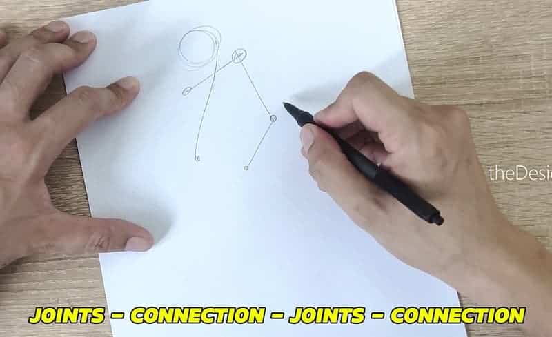 Connect the joints to create the skeleton